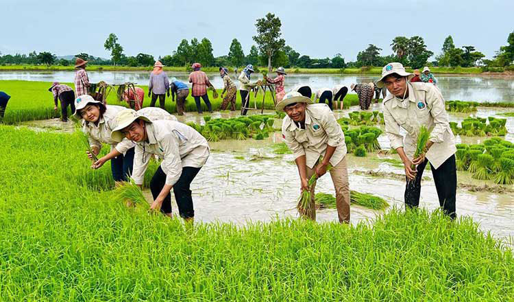 Officials urged to help farmers calculate production cost